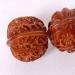 Unbit Ballstretcher & Magnetic Stress Ball - 45mm Hand Fitness & Palm Massage Balls | Shop Internationally - Buy Online on GoSupps.com