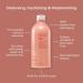 Hey Humans Rosewater Ginger Moisturizing Body Wash - Vegan Sulfate Free Formula with Jojoba Oil | Natural Ingredients | 14 fl. oz. (Pack of 3) - Buy Online on GoSupps.com