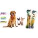 Woobamboo Large Breed Bamboo Toothbrush 2 Pack - Eco-Friendly Dental Care - Buy Online on GoSupps.com