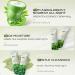 Buy Green Tea Skincare Set - 19-In-1 Gift with Natural Extracts | Cleanser Serum Creams & Masks for Teen Girls - Moisturizing & Nourishing Skin Care - Buy Online on GoSupps.com
