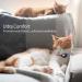 Soft Purple Airtag Cat Neck Band with GPS Holder & Bell - Adjustable 9-13 inch for Kittens & Young Cats - Buy Online on GoSupps.com
