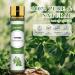 Aoruilia 10ml Thyme Essential Oil Pure Natural Premium Grade Essential Oils for Diffusers for Home Aromatherapy Massage Bath Yoga Candle Perfume Making Thyme 10 ml (Pack of 1) - Buy Online on GoSupps.com