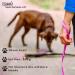 5m Magenta Towline Dog Leash for Small Dogs | Water & Dirt Repellent Hand Loop Design - Buy Online on GoSupps.com