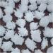 Crystal Rough Natural Crystal Rough Natural Clear Crystal Quartz Cluster Decoration White Cluster Dryse Geode Reiki Column Point Decoration 1-1.2kg - Buy Online on GoSupps.com