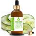Pure Herbs Cucumber Seed Oil - 100% Natural Therapeutic Carrier Oil 30ml | International Shipping Available - Buy Online on GoSupps.com