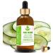 Pure Herbs Cucumber Seed Oil (Cucumis sativus) Pure and Natural Therapeutic Carrier Oil with Pipettes (50 ml)