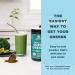 Organic Peppermint SuperGreens Powder with Probiotics | Real Fruits, Vegetables, Herbs | Digestive & Energy Support | 25 Servings - Buy Online on GoSupps.com