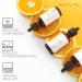 Vitamin C Face Serum 50ml - Brightening & Rejuvenating Skincare | Illuminate Your Skin - Shop Internationally - Buy Online on GoSupps.com