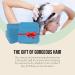 Solid Hair Conditioner Collection - Handmade Natural Hair Care Set for All Hair Types | 3-Pack Luxe Locks with Essential Oils & Shea Butter - Perfect Hair Gift Set with Travel Soaps - Buy Online on GoSupps.com
