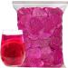  MIHUNTANG Dried dragon fruit chips 200g Dried fruit snacks Red dragon fruit pitaya chips - Buy Online on GoSupps.com