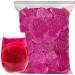 Dried Dragon Fruit Chips 200g Dried Fruit Snacks Pitaya Fruit Chips From Red Dragon Fruit