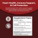 Odorless Garlic Supplement for Immune Support & Heart Health - Non GMO & Gluten Free Garlic Softgels with Parsley - Concentrated Antioxidant Pills - Buy Online on GoSupps.com
