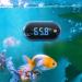 PAIZOO LED Fish Tank Thermometer - Digital Touch Screen with 32-211 Range - Stick-on Wireless for Glass Containers, Turtle Tank & Aquariums - Buy Online on GoSupps.com