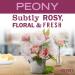 Mrs. Meyer's Peony Liquid Dish Soap Refill - Biodegradable Formula - 48 fl. oz - Buy Online on GoSupps.com