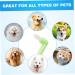 Levemolo 1pc Pet Single Head Toothbrush Brush Teeth Care Brush Dog Toothpaste Plastic - Buy Online on GoSupps.com