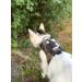 Mynwood Cat Jacket/Harness Arctic Combat Adult Cat - Buy Online on GoSupps.com