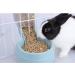 RUBYHOME Hanging Pet Bowl for Crates & Cages - Ideal Cage Feeder for Small Animals, Cats, Puppies - Automatic Feeder for Ferrets, Rabbits - Buy Online on GoSupps.com