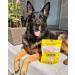 Grandma Lucy's Freeze Dried Chicken Pet Treats - Natural & Healthy - Buy Online on GoSupps.com