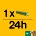 Pedigree Dentastix Fresh Dental Chews for Large Dogs 25 kg+, 28 Sticks - Buy Online on GoSupps.com