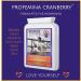 Cranberry Supplement 5040mg - 90 Tablets for Healthy Bladder & UTI Relief | Antioxidants & Blood Sugar Control | High Strength UK Made Vegan Formula - Bespoke Biotics - Buy Online on GoSupps.com