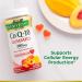 Natures Bounty CoQ10 Gummies - 200mg Peach Mango Flavor - 60 Count | Supports Heart Health - Buy Online on GoSupps.com