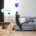 4-Piece Ghost Hunting Cat Ball Set - LED Motion Activated Pet Interactive Toys - Buy Online on GoSupps.com