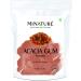 Acacia Gum powder by mi nature | Acacia senegal| Acacia Fiber Powder | 227g(8 oz) (0.5 lb) | Non-GMO | Vegan | 100% ONLY ACACIA GUM POWDER | Gluten free