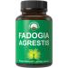 Fadogia Agrestis Ultra High Strength 10:1 Extract in Vegan Capsules. Support Athletic Performance Boost Energy Stamina. USA Tested Supplement for Men and Women