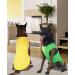 Kickred 2 Pack Summer Dog Shirts - Fast Drying Breathable Pet Vests for Large & Medium Dogs - Stretchy Tank Tops in Grass Green & Lemon Yellow - Buy Online on GoSupps.com