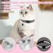 Adjustable Cat Dishes Set - Breathable Mesh & Soft Lining for Cats Kittens Dogs & Puppies (XS Black) - Ideal for International Shipping - Buy Online on GoSupps.com