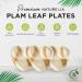 Naturelia 100% Compostable 10-Inch Heart-Shaped Palm Leaf Disposable 3 Partition Plates- Eco-Friendly Biodegradable and Microwave-Safe for Special Occasions - Buy Online on GoSupps.com