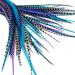 One Fine Day Feathers 25 Real Feather Hair Extensions: Short Skinny 7-9 inch (18-23cm) + Rings/Loop (Starlight)