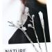 inSowni 8 Pieces Decorative Retro Crystal Pearl Silver Hair Sticks Pins with Pendants Asian Chinese Hanfu Cloud Star Lotus Flower Hair Forks Chopsticks Bun Updo Holders Long Hairpins for Women Girls - Buy Online on GoSupps.com