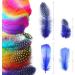 300Pcs Colorful Craft Feathers - Perfect for DIY, Weddings, Parties - Audamp Feathers - Buy Online on GoSupps.com
