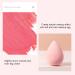 Face Cream Blusher Blush with Egg Sponge Silky Smoth Blush Cream Blendable Finish Blush 24H Long Lasting Blush for Women Makeup (Bronze- Gold) 1 count (Pack of 1) - Buy Online on GoSupps.com