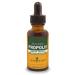 Herb Pharm Propolis 1 fl oz (30 ml)
