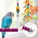 KATUMO Natural Coconut Bird House with Colorful Toys & Ladder - for Parakeet, Conure, Cockatiel, Mynah, Love Birds, Finch - Hanging Chewing Toys, Hammock, Climbing Ladder, Bells Included - Buy Online on GoSupps.com