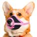 Singwow Dog Muzzle with Adjustable Strap to Prevent Biting Barking and Chewing Air Mesh Breathable Pet Muzzle for Small Medium Large Dogs (S)