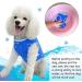 Pet Cooling Vest Cool Down Vest for Summer Ice Vest for Small Medium and Large Dogs (Size : M) - Buy Online on GoSupps.com