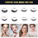 Magnetic Eyelashes Kit with Eyeliner & Tweezers - Easy, No Glue Needed! - Buy Online on GoSupps.com