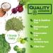 Greens Powder Superfood - Premium Organic Super Greens Juice Powder - Packed with Probiotics Wheat Grass Enzymes Spirulina Chlorella for Digestive & Gut Health Smoothie Drink Mix - 28 Servings - Buy Online on GoSupps.com