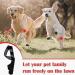 Dog Leg Bracket Pet Dog Leg Support Bracket Dog Hind Leg Protection Device Adjustable Knee Bracket Leg Bracket Dog Arthritis Bracket for Dog Hind Leg Rehabilitation XL - Buy Online on GoSupps.com