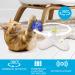 Interactive Butter-Fly Cat Toy with Rotating Flutter Bug and Replacements - For Indoor Cats by All For Paws - Buy Online on GoSupps.com