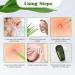 FVION Blackhead and Acne Extractor Kit Professional Pimple Popper Tool Kit Acne Tweezers and Blackhead Remover Tools for Face 5 PCS Extractor Pimple Popping Tools - Black Green - Buy Online on GoSupps.com