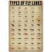 JIUFOTK Types Of Fly Lures Posters Metal Signs Fishing Knowledge Popular Science Guide Room Club Farm Wall Decor 8x12 Inches 8*12 Incn Types Of Fly Lures - Buy Online on GoSupps.com