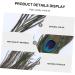 Lurrose 50pcs Peacock Tail Eye s Peacock s Peacock Tail s Peacock Eye s Crafts Natural - Buy Online on GoSupps.com