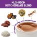 Om Mushroom Superfood Hot Chocolate Blend - 30 Servings of Lion's Mane, Reishi & Chaga - Low Calorie, Dutch Cocoa, Focus & Stress Support - Buy Online on GoSupps.com