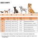 Queenmore Dogs Wowers: RipStop Huideling Lifeguard Dog Vest for Kayaking & Swimming - Medium Orange | Knuffelwuff Wallpasters - Buy Online on GoSupps.com