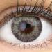 Buy Glamlens Palermo Gray Contact Lenses - Strongly Covering Natural Gray - Silicone Hydrogel - 1 Pair (2 Pieces) - Dia 14.00 - International Shipping Available - Buy Online on GoSupps.com