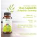Vitamin B Complex High Dose | B12 B2 B6 - 120 Vegan Capsules | Rhein Nutrition - 4 Month Supply in Germany - Buy Online on GoSupps.com